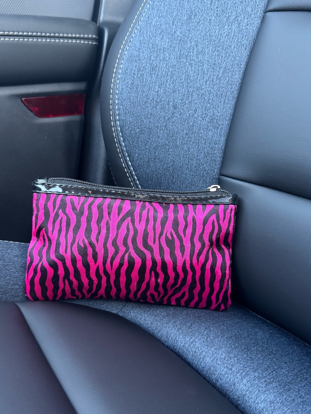 Pink Zebra-Print Pouch